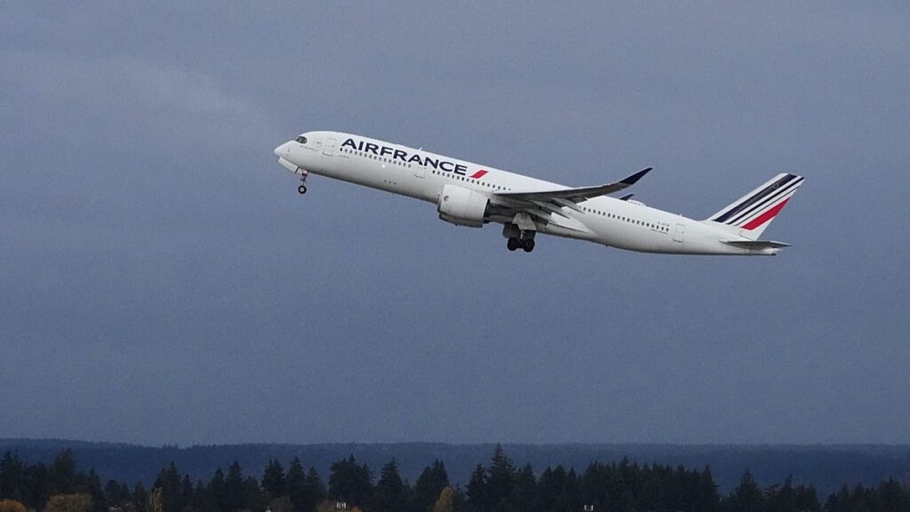 Air France suspends Middle East flights to Riyadh, Dubai and Beirut Air France suspends Middle East flights to Riyadh, Dubai and Beirut