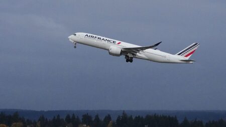 Air France suspends Middle East flights to Riyadh, Dubai and Beirut Air France suspends Middle East flights to Riyadh, Dubai and Beirut