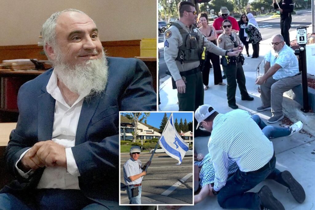 Pro-Palestinian man jailed for one year over death of Jewish demonstrator
