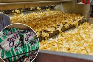Long-running recall on popular potato chips brands classified at FDA’s highest risk level