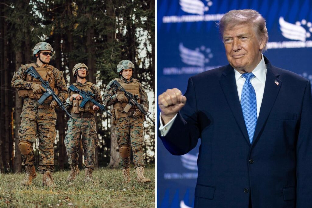 Exclusive | The US military under President Trump is winning the war — in the bedroom,  Pentagon data reveals