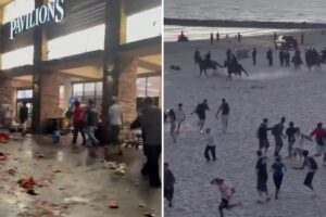 California’s Fourth of July plunges into hell as stores looted, police horses charge and fires break out
