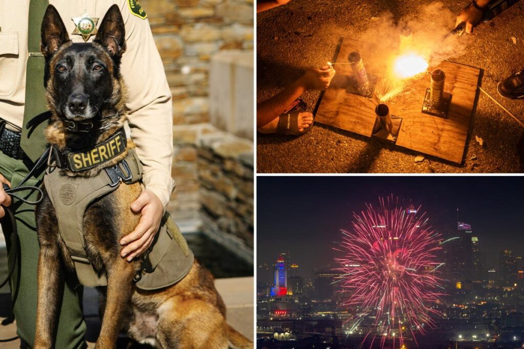 K-9 dies after being hit by car when illegal fireworks erupted in California