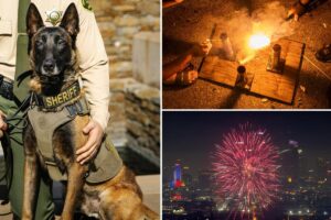 K-9 dies after being hit by car when illegal fireworks erupted in California