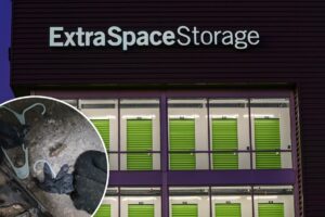 Storage giant forced to pay back NYC renters after sky-high price hikes and rats run wild