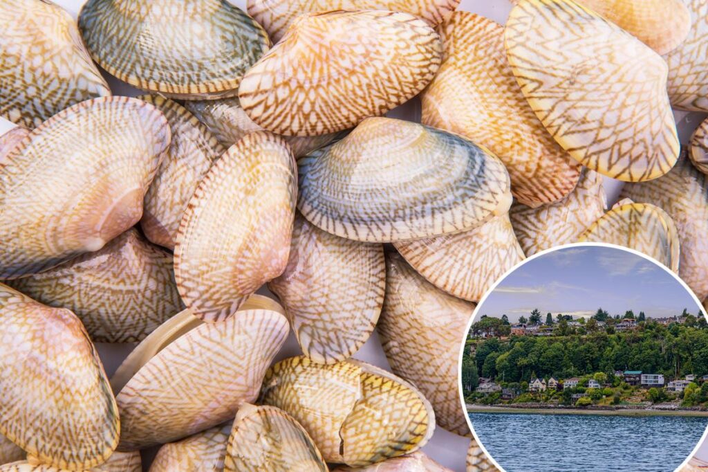 Cancer is ravaging the shellfish population in West Coast waters favored by top US restaurants