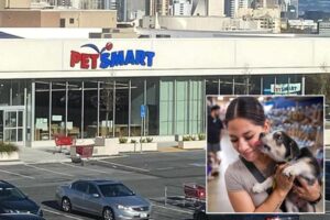 PetSmart to close only outpost in San Francisco