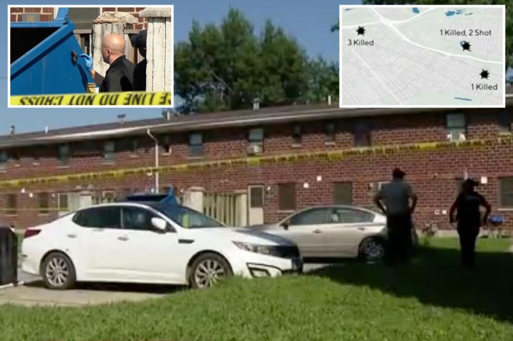 5 family members killed, 2 others gravely wounded in ‘targeted’ mass shooting — with teen relative in custody: cops 5 family members killed, 2 others gravely wounded in ‘targeted’ mass shooting — with teen relative in custody: cops