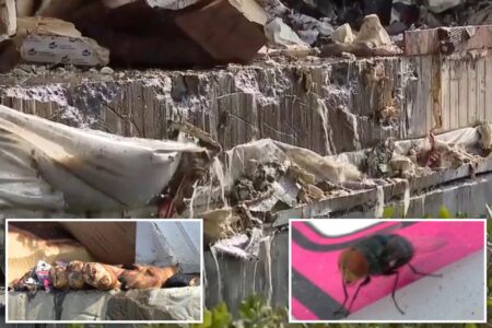 Disgusting update as 85 million pounds of food rots after Boyle Heights warehouse fire Disgusting update as 85 million pounds of food rots after Boyle Heights warehouse fire