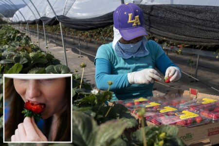 California fruit giant hit by shocking ‘highly toxic’ accusations and deception