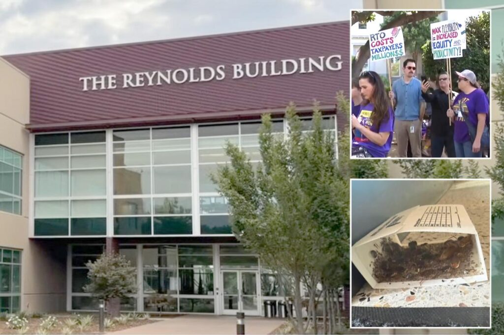 Gavin Newsom’s return to work order hits major snag as workers make truly disgusting discovery in offices