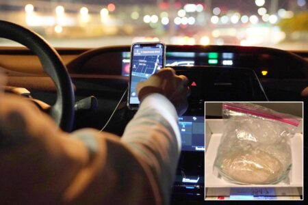 Moronic mistake by San Francisco rideshare passenger carrying K brick of meth