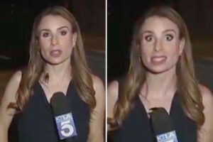 Disgusting moment absolutely massive flying cockroach climbs up TV reporter’s chest live on air Disgusting moment absolutely massive flying cockroach climbs up TV reporter’s chest live on air