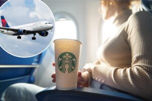 Airline passengers rank the best food and drinks in economy — and the most hated snack some sneak onto planes