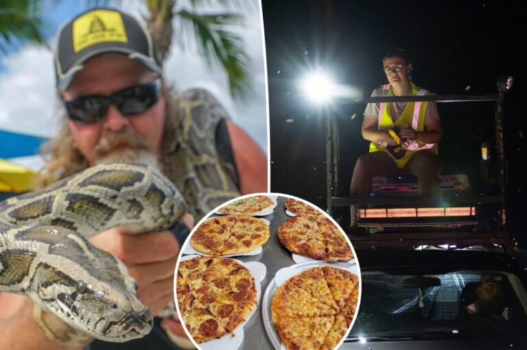 Pizza for pythons: Florida restaurant owner gives away free pies in exchange for dead snakes Pizza for pythons: Florida restaurant owner gives away free pies in exchange for dead snakes