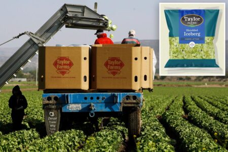 Taylor Farms to recall ingredients linked to ‘explosive diarrhea’ parasite cyclosporiasis outbreak