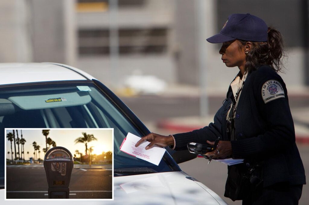Shocking LA parking-ticket scheme squeezes jaw-dropping sum from drivers Shocking LA parking-ticket scheme squeezes jaw-dropping sum from drivers