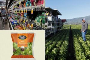 Taylor Farms releases full recall list after ‘explosive diarrhea’ cyclosporiasis outbreak Taylor Farms releases full recall list after ‘explosive diarrhea’ cyclosporiasis outbreak