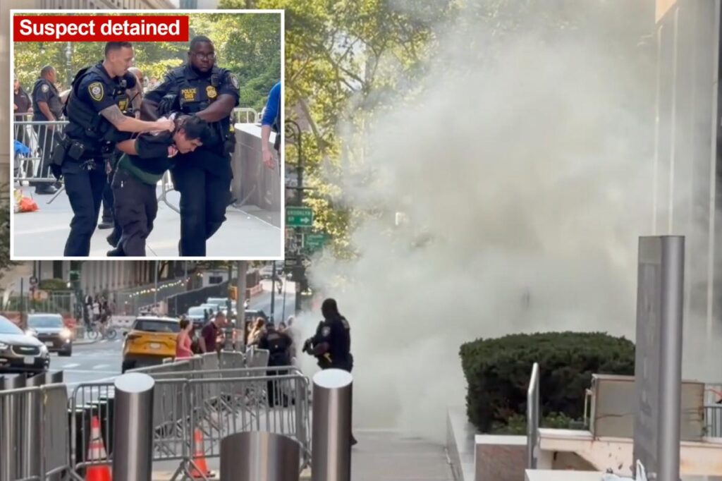 Terrorism task force probes armed loon who set off ‘incendiary device’ outside NYC fed HQ Terrorism task force probes armed loon who set off ‘incendiary device’ outside NYC fed HQ