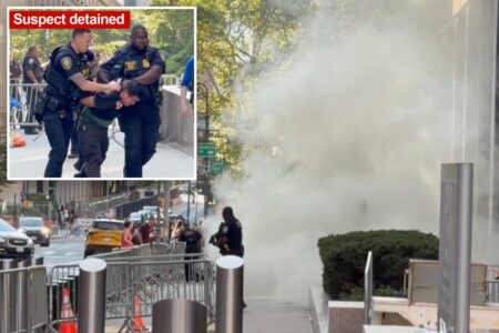 Terrorism task force probes armed loon who set off ‘incendiary device’ outside NYC fed HQ Terrorism task force probes armed loon who set off ‘incendiary device’ outside NYC fed HQ