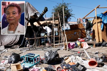 Bay Area city to pay homeless to clean up their encampments in controversial pilot Bay Area city to pay homeless to clean up their encampments in controversial pilot