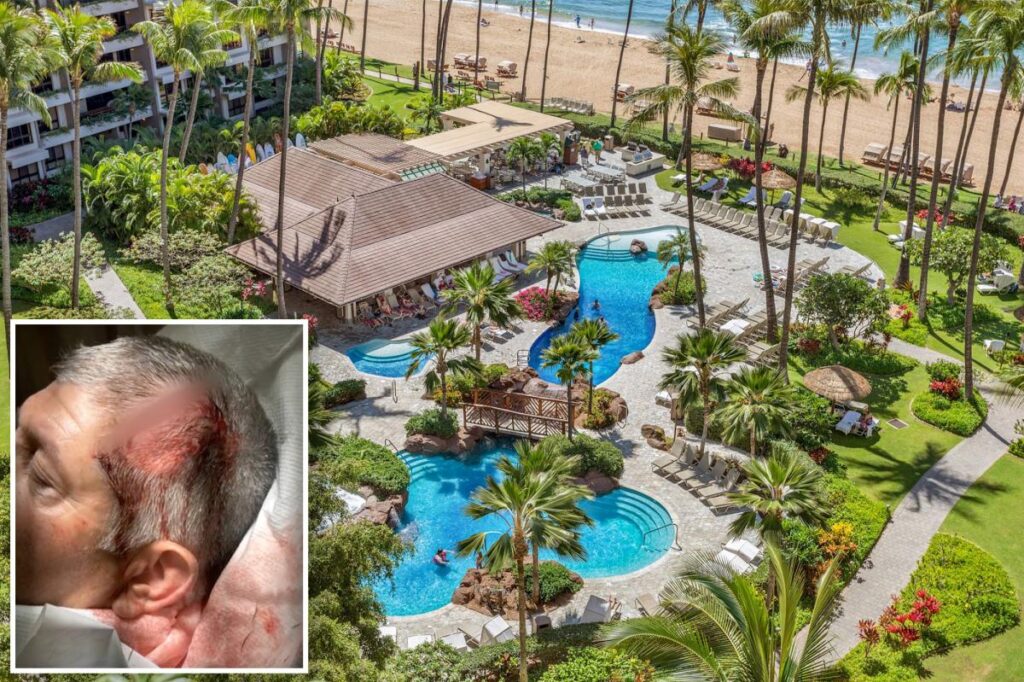 3 teen boys arrested in bloody ‘anti-white’ attack on California family at exclusive Hawaii resort