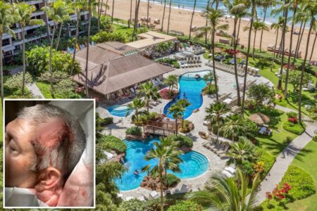 3 teen boys arrested in bloody ‘anti-white’ attack on California family at exclusive Hawaii resort