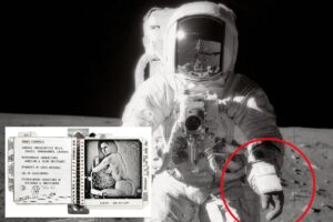 Saucy Playboy pictures taken to the Moon in 1969 sold for 0K