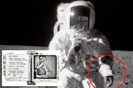 Saucy Playboy pictures taken to the Moon in 1969 sold for 0K Saucy Playboy pictures taken to the Moon in 1969 sold for 0K