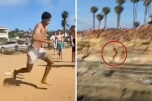 Teen who bounced off rocks in viral California cliff jumping video details his injuries: ‘My lungs were burning’ Teen who bounced off rocks in viral California cliff jumping video details his injuries: ‘My lungs were burning’
