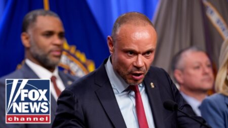 Dan Bongino: What a CLOWN SHOW! Dan Bongino: What a CLOWN SHOW!