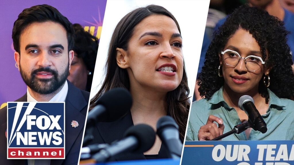 Democratic socialists stage ‘hard-left’ insurgency in NY primary