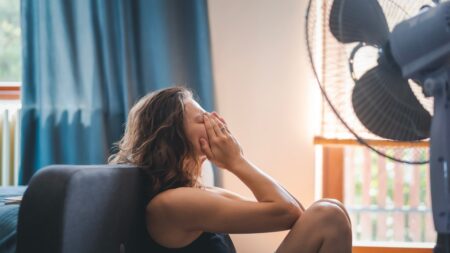 Trump admin axes ‘Green New Scam’ appliance rules as Europe bakes in brutal heat