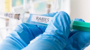 11-year-old dies from rabies after bat landed on his face while he was sleeping