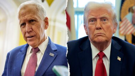 Republican says Trump’s top election priority ‘dead’ in Senate as GOP fractures ahead of midterms