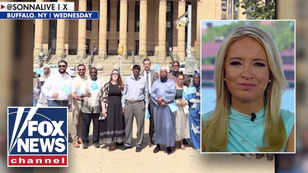McEnany: This is INSULTING
