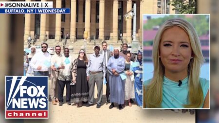 McEnany: This is INSULTING