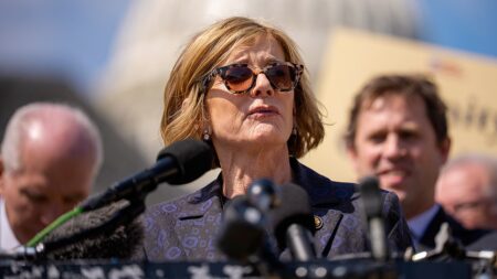 Vulnerable House Dem’s bipartisanship push clashes with fantasy to ‘beat the s— out of’ Hegseth