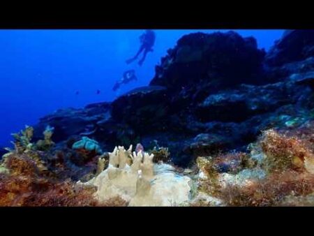 Record-high ocean heat could fuel sea level rise and extreme weather on land Record-high ocean heat could fuel sea level rise and extreme weather on land