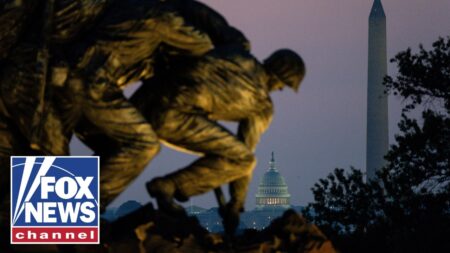‘SIGHT TO SEE’: National Mall hosts historic flyover for America’s 250th anniversary