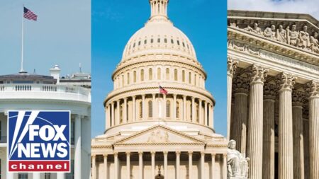 US system of government ‘ENSURES’ checks on power: Victor Davis Hanson US system of government ‘ENSURES’ checks on power: Victor Davis Hanson