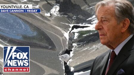 Paul Pelosi faces possible HIT-AND-RUN charge after car crash