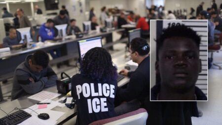 ICE asks Michigan to hold Haitian illegal alien who allegedly ‘barbarically stabbed’ coworker