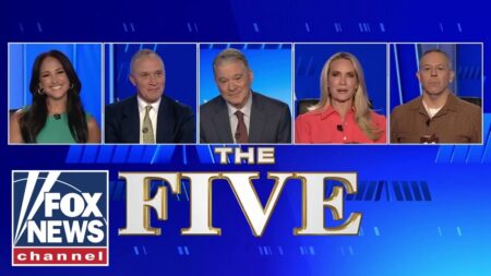 ‘The Five’ on the Platner saga: ‘Where is the criminal case?’
