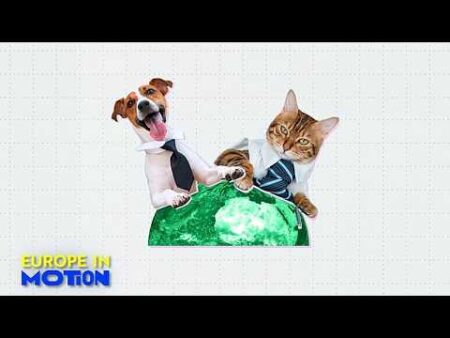 Dogs and cats at work: Yes or no? Here are Europe’s most pet-friendly countries
