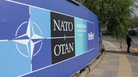 Watch Live: Erdogan and Rutte individually greet each NATO leader