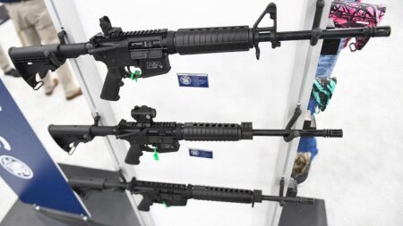 Federal appeals court upholds controversial Illinois ban on semiautomatic guns Federal appeals court upholds controversial Illinois ban on semiautomatic guns