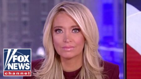McEnany: I am so FRUSTRATED
