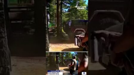 Bear charges father outside Lake Tahoe home, dramatic video shows
