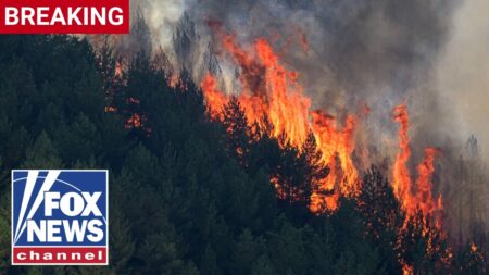 BREAKING: 12 dead, dozens missing in Spain wildfire